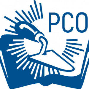 Российские студенческие отряды